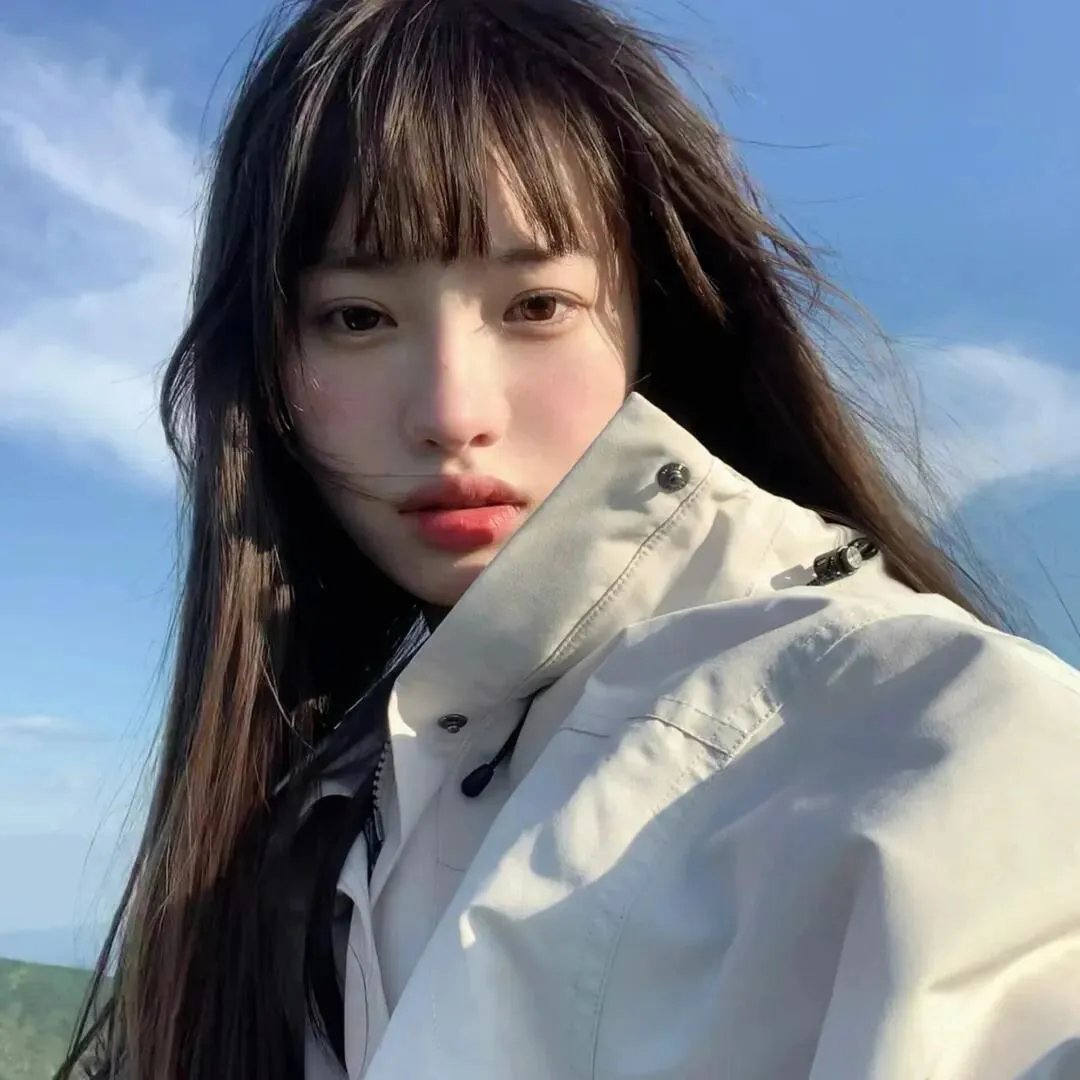 法网追凶